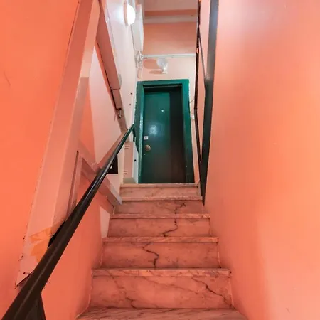 The Nest Of Carrião Street *