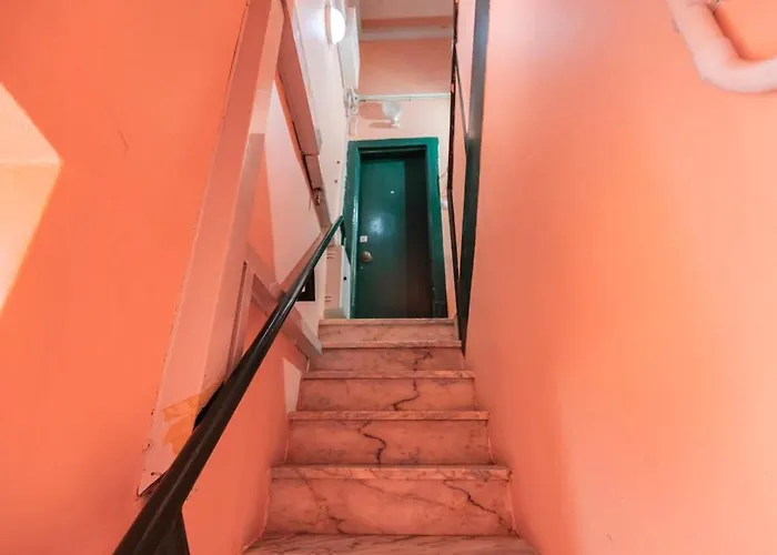 The Nest Of Carriao Street *